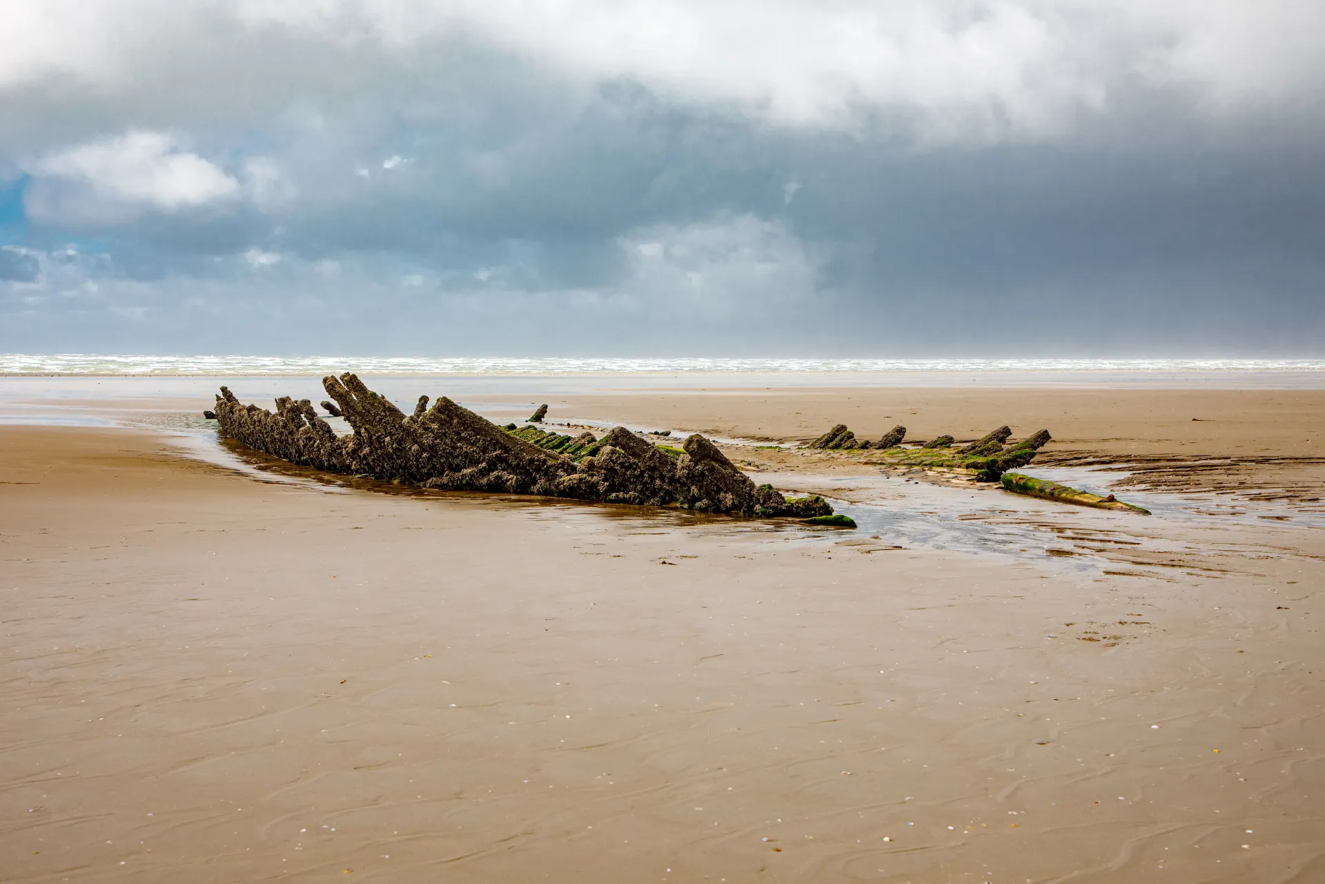 Home Page Background